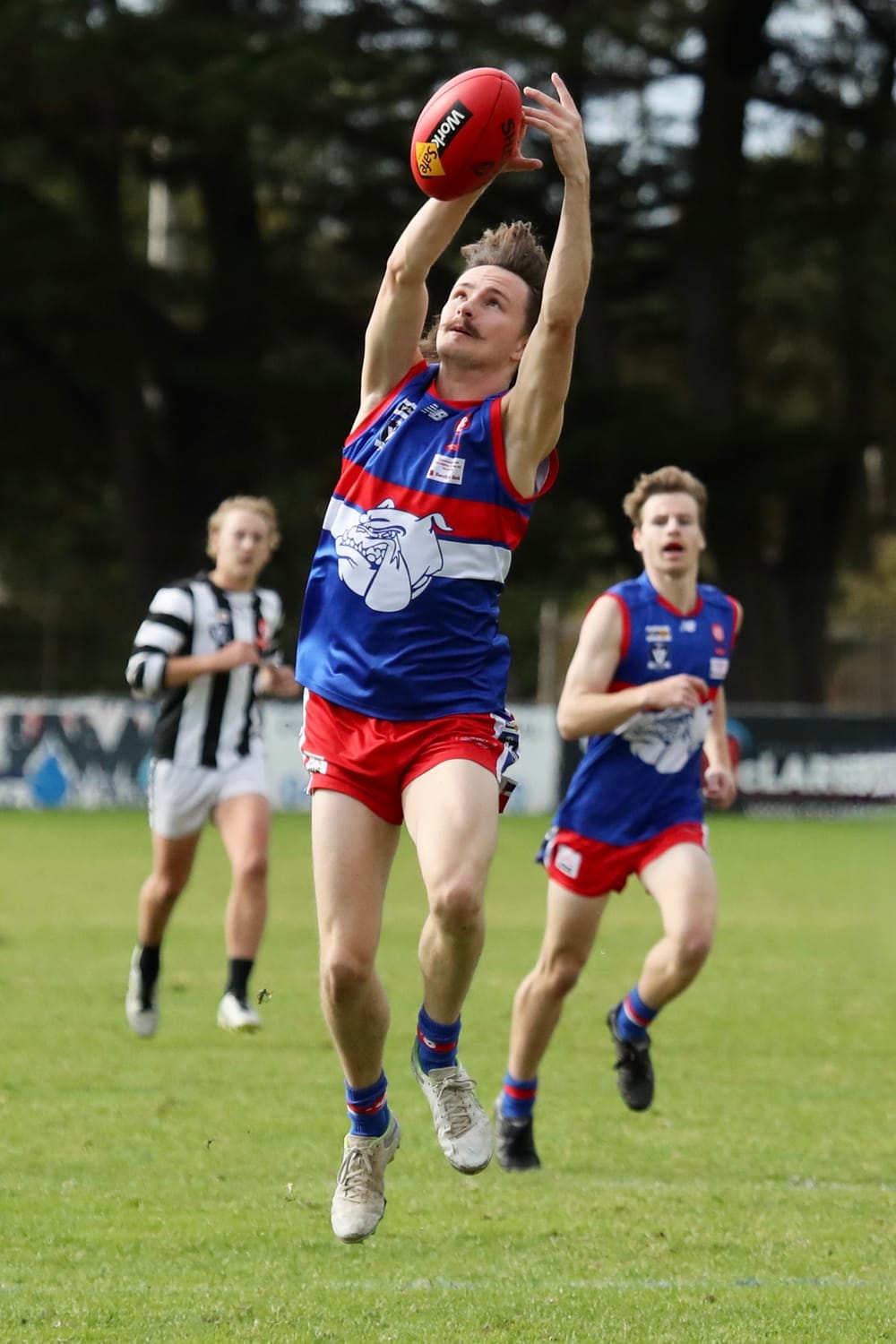 Reserves put on a show post image