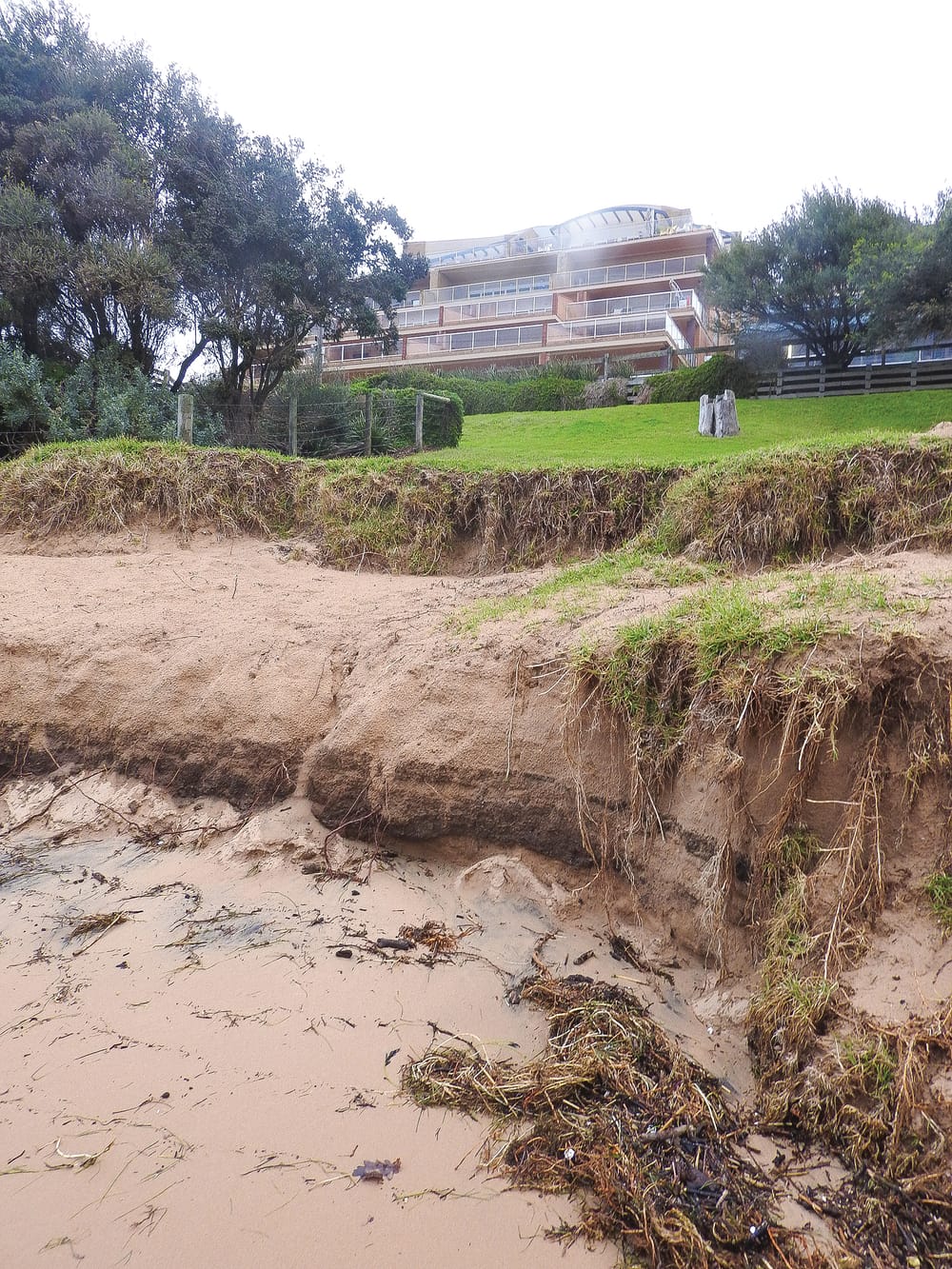Cowes main beach dune bulldozing post image