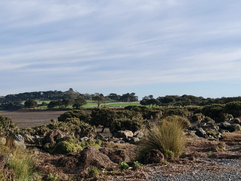 DAL hearings: Don’t love this area to death: community groups post image