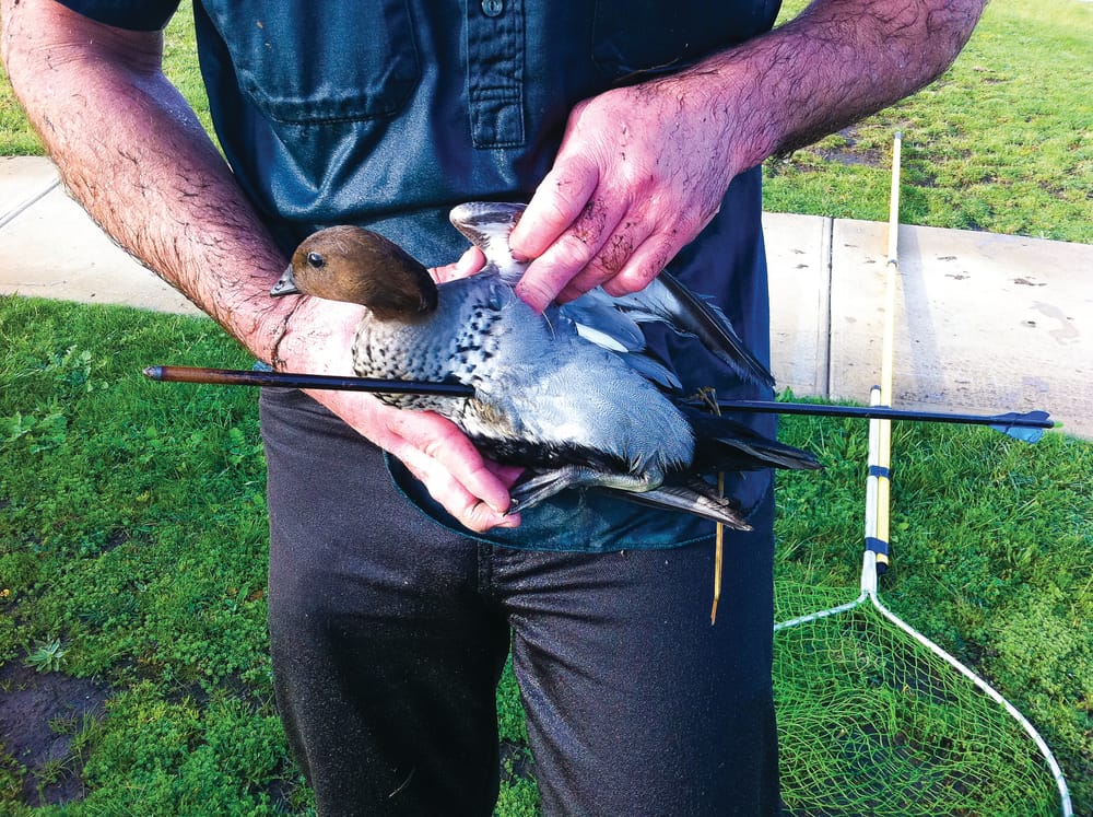 Wildlife shelter struggling to stay open post image