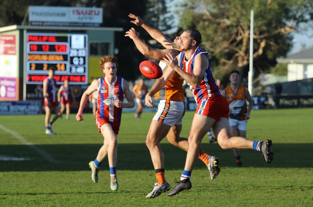 Bulldogs brings Giants down to size post image