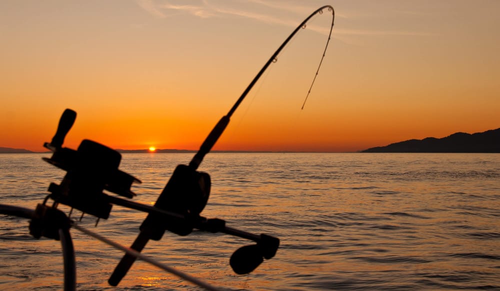 Around the bay with Jim's Bait and Tackle post image