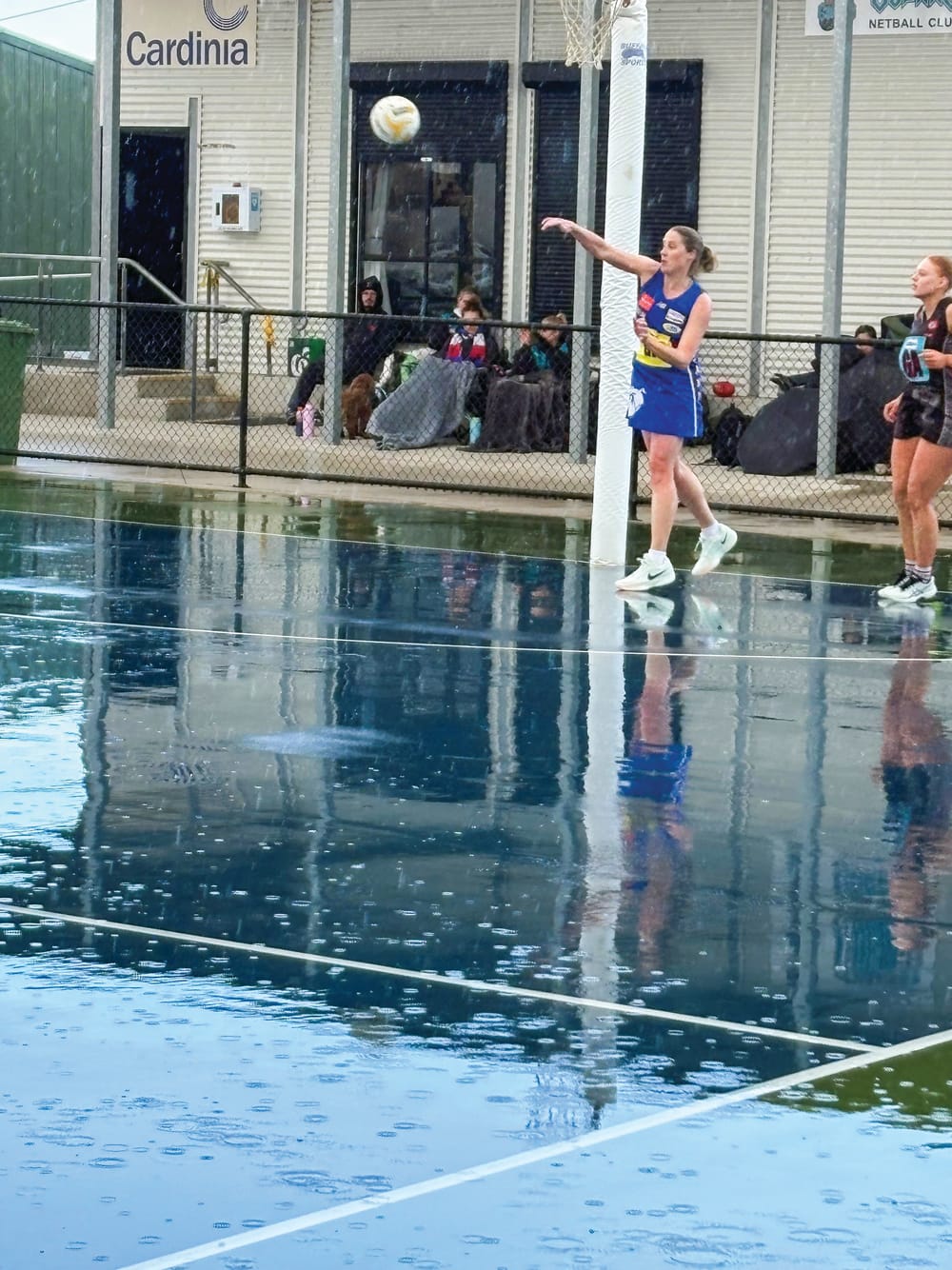 B Grade v Cora Lynn post image