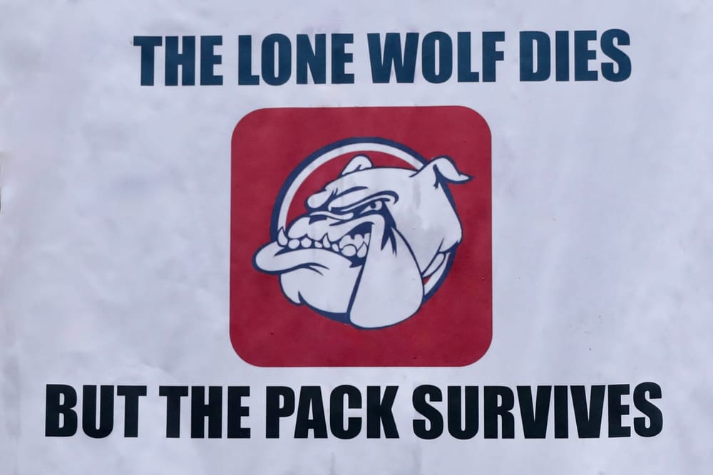 Commendable finals effort by Island U16s post image