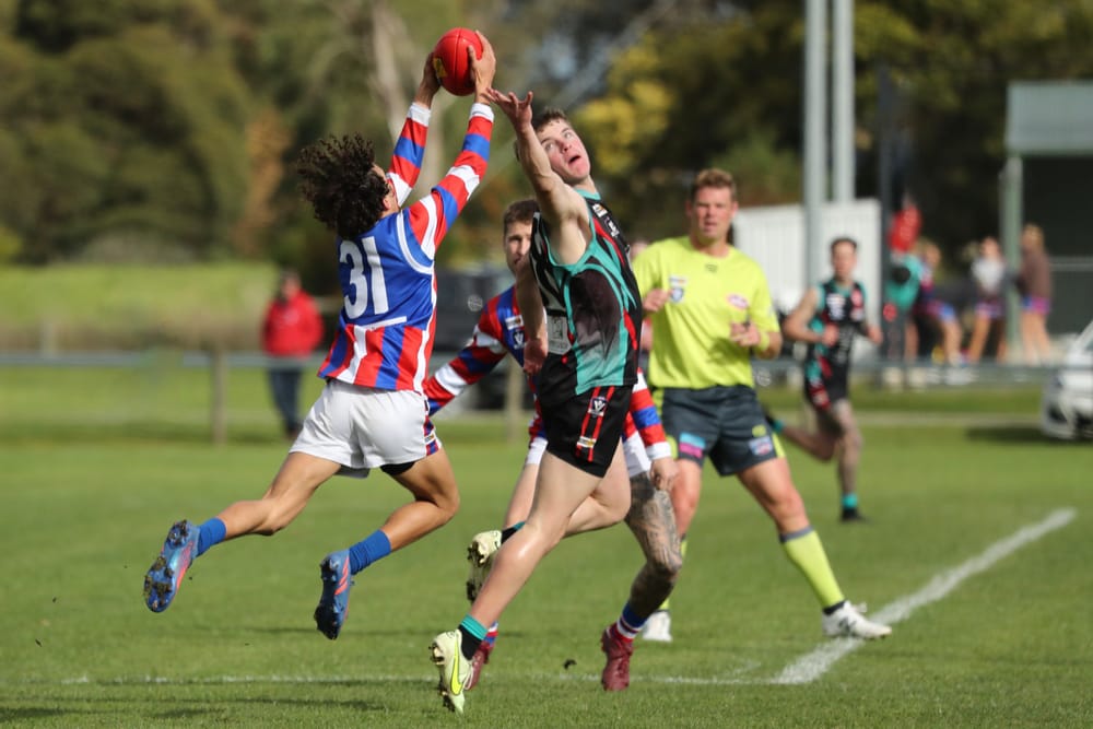 Cobras strike: Bulldogs bite the dust post image