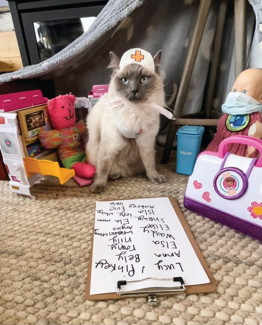 Lisa’s lowdown post image