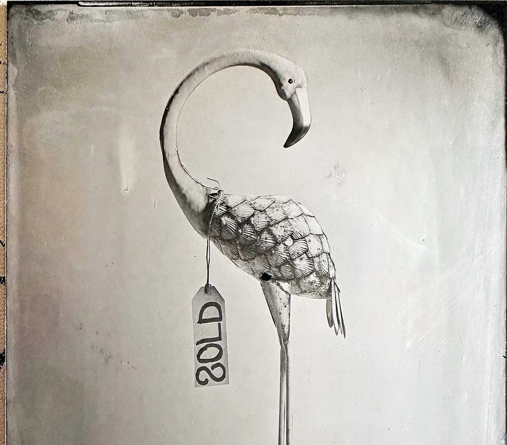 Trevor’s off to the Biennale post image