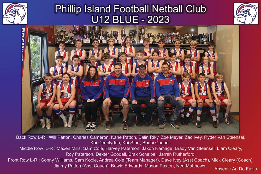 Congratulations to U12 Blue for a successful season! post image