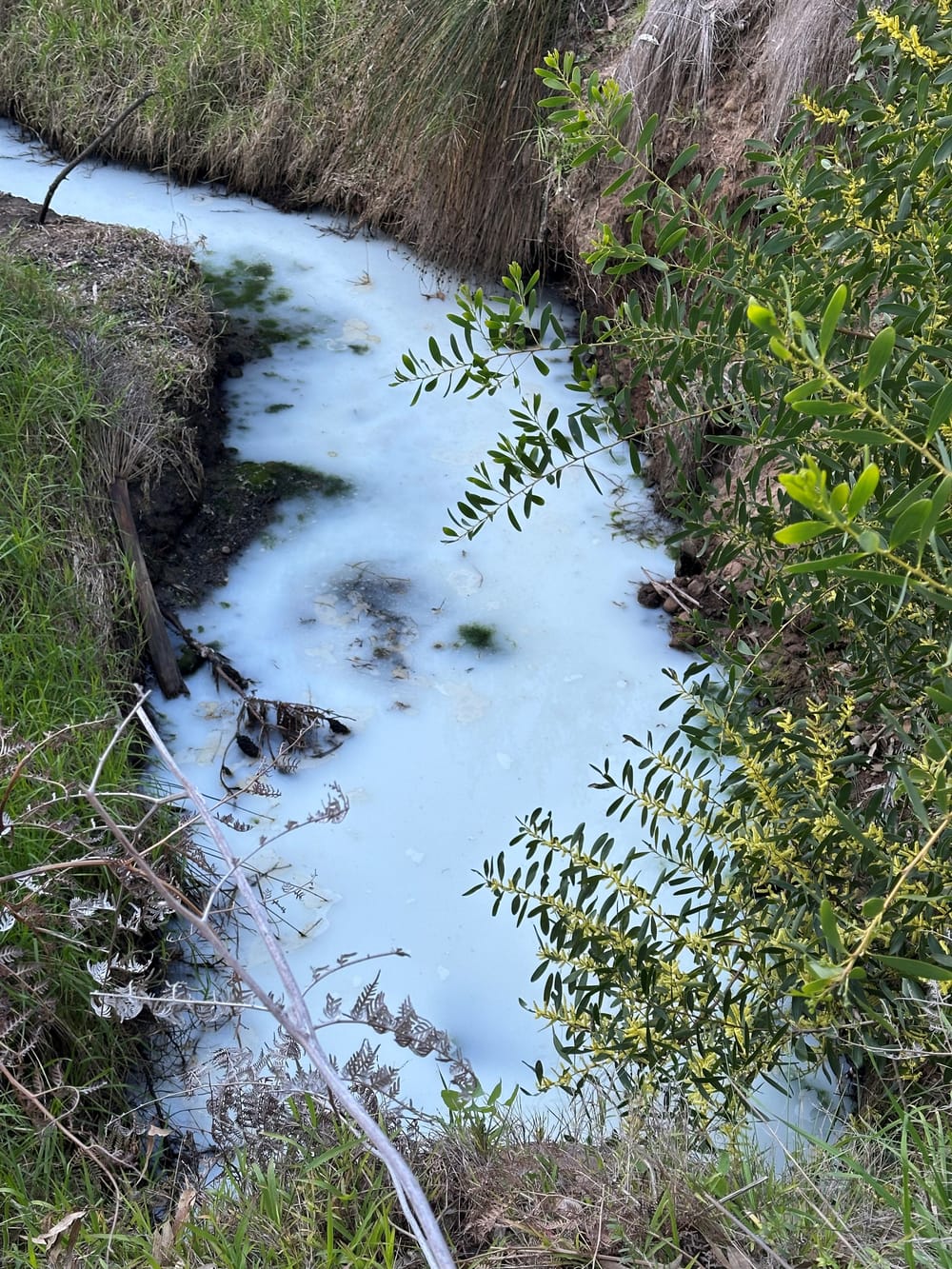 Who polluted and what is the pollution running into the bay? post image