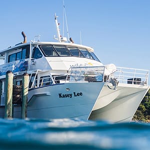 Wildlife Coast Cruises post image