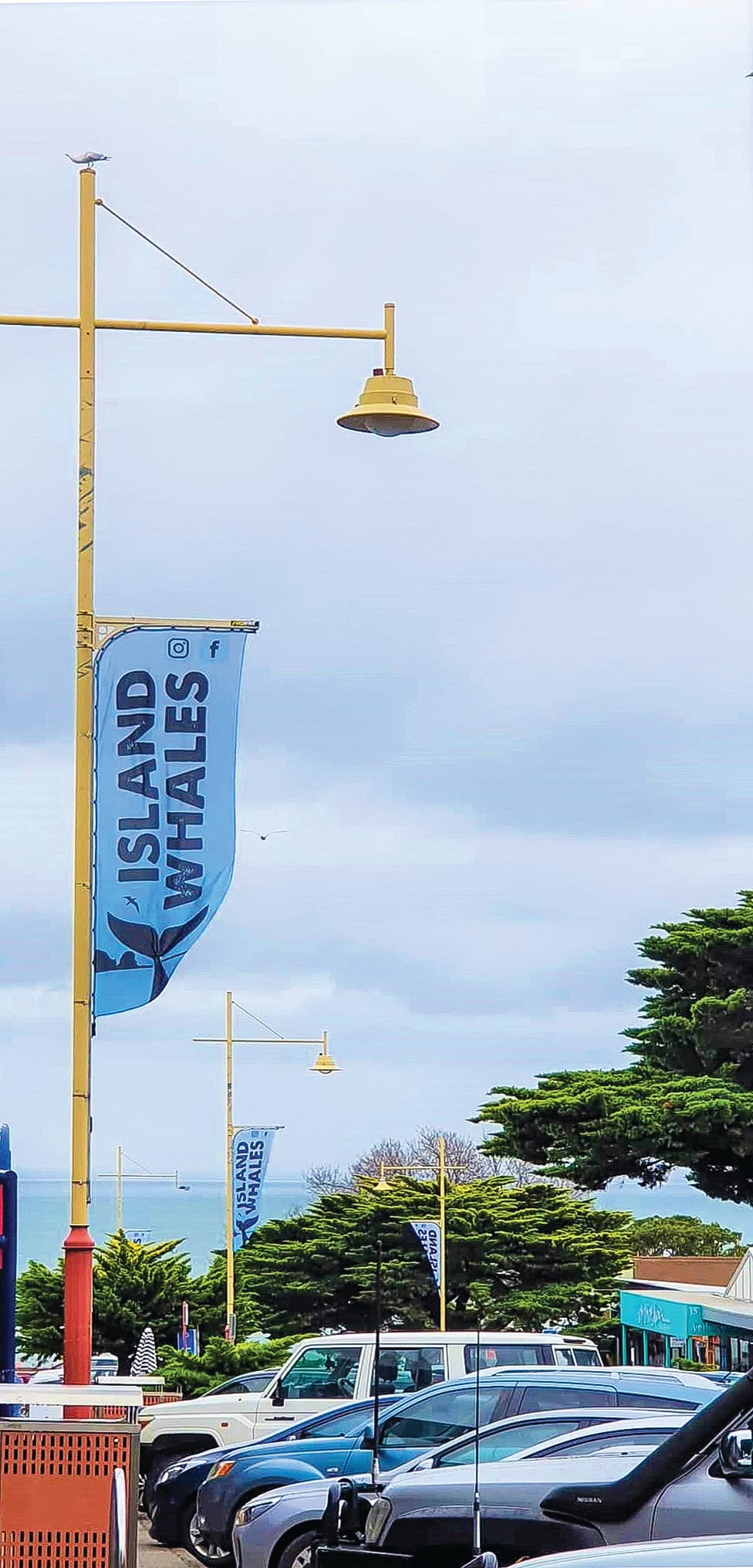 We’re having a Whale of a time! post image