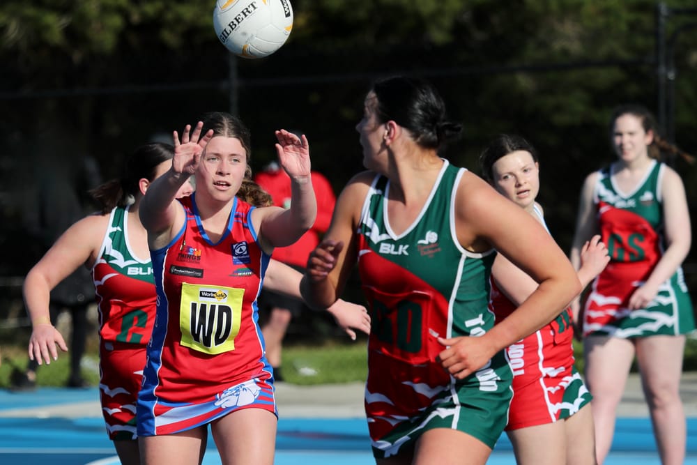 A netballers went down fighting! post image