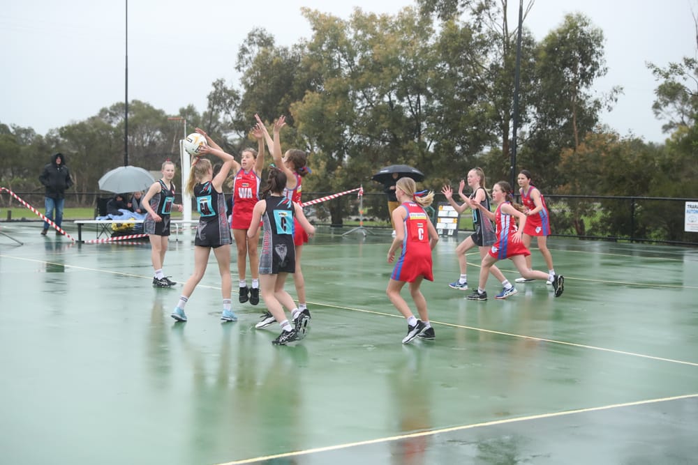 2019 Netball grand finals - U13 and U17 Runners up post image