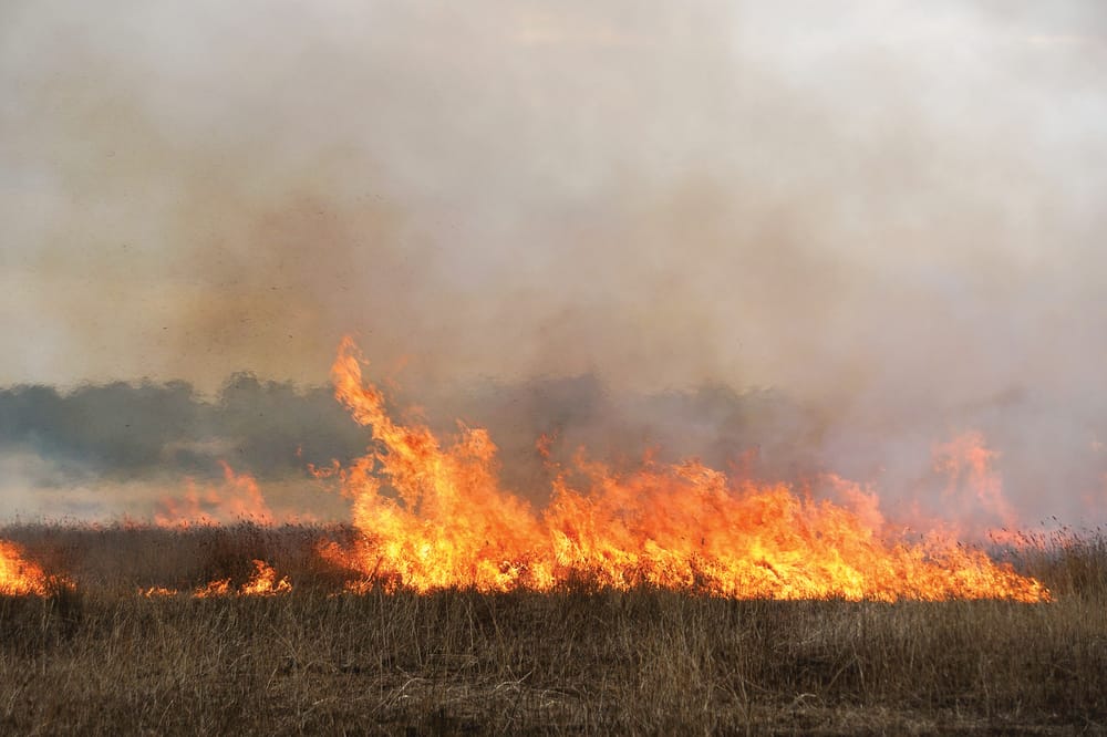 Reduce risk this autumn, register your burn-off online post image