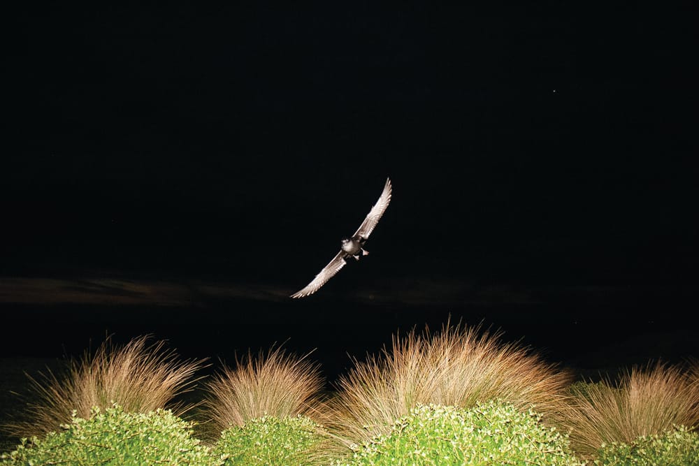 Community heeds call to Turn off for Take-off post image