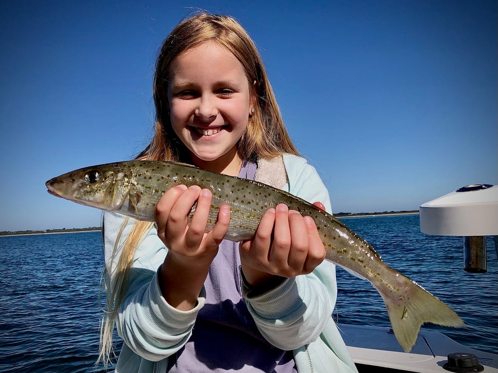 Around the Bay with Jim’s Bait & Tackle post image