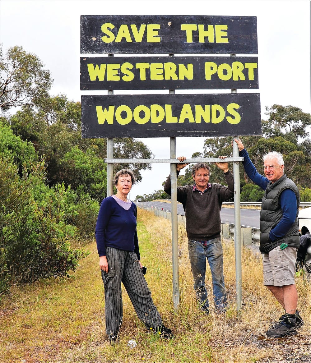Anti-sandmine signs pulled down post image