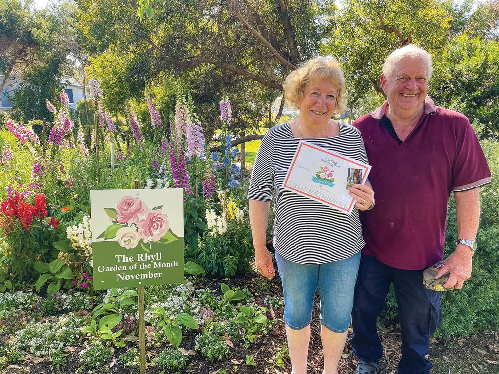 A blooming delight post image