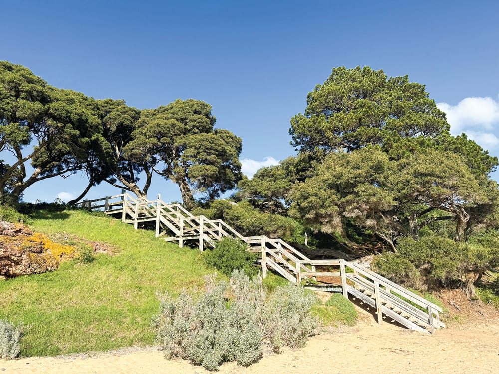 Mussel Rocks staircase closed post image