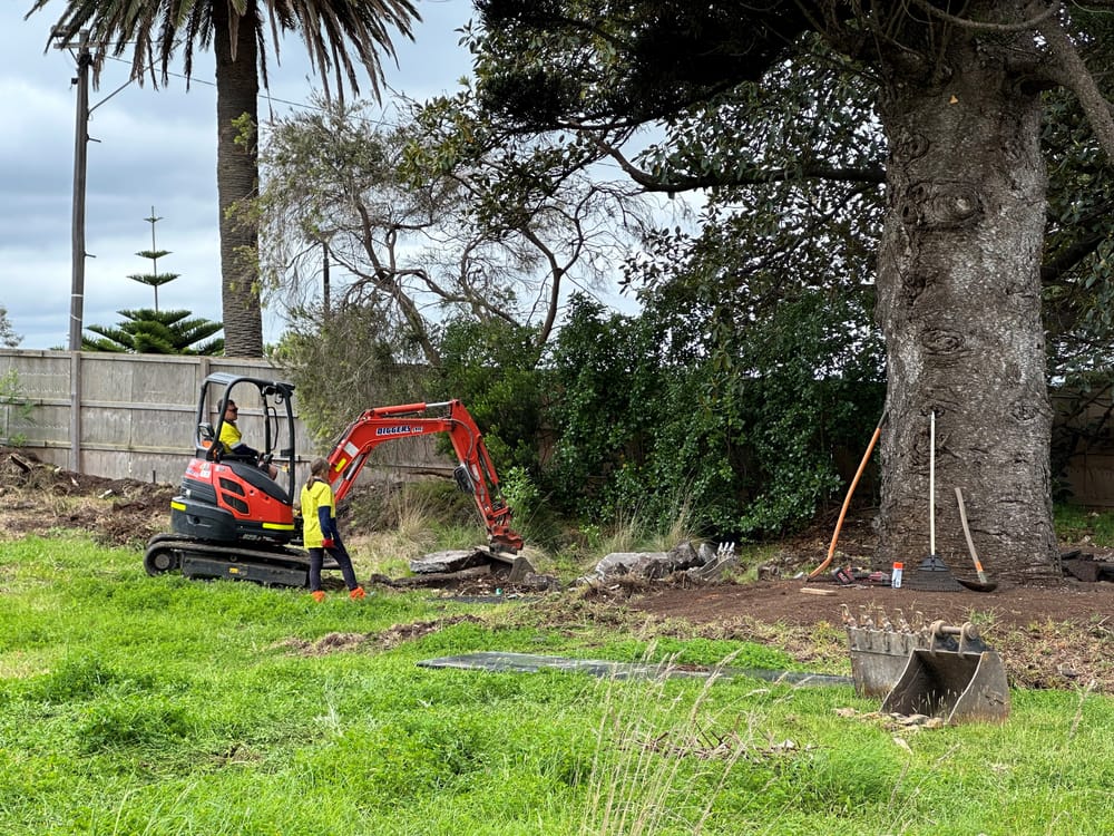 Isle of Wight coming alive post image