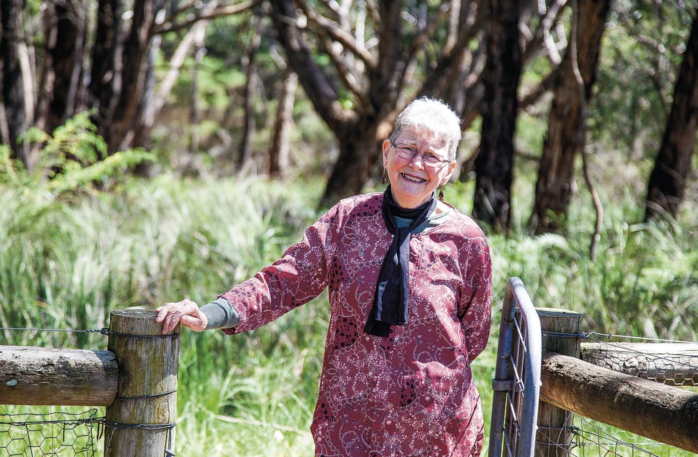 Save the woodlands, buy a calendar post image