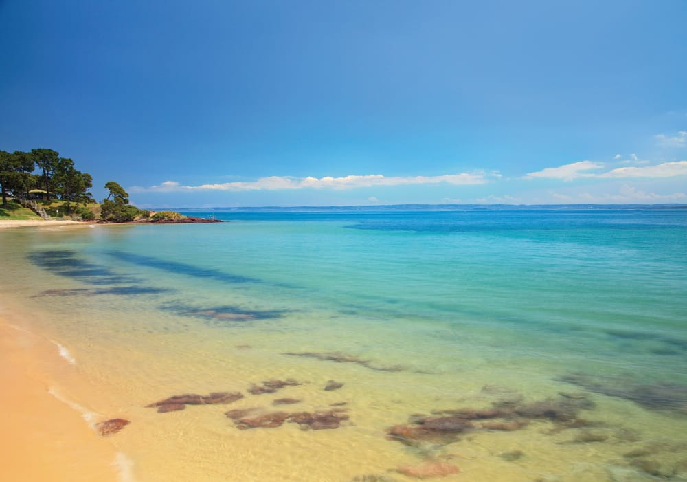 Care about Western Port? post image