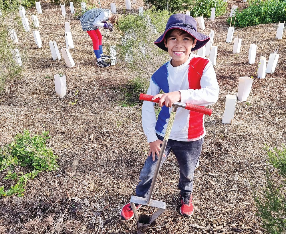 Tree Day comes early to Our Lady Star of the Sea post image