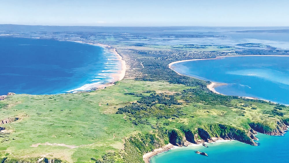 DAL decision imminent post image