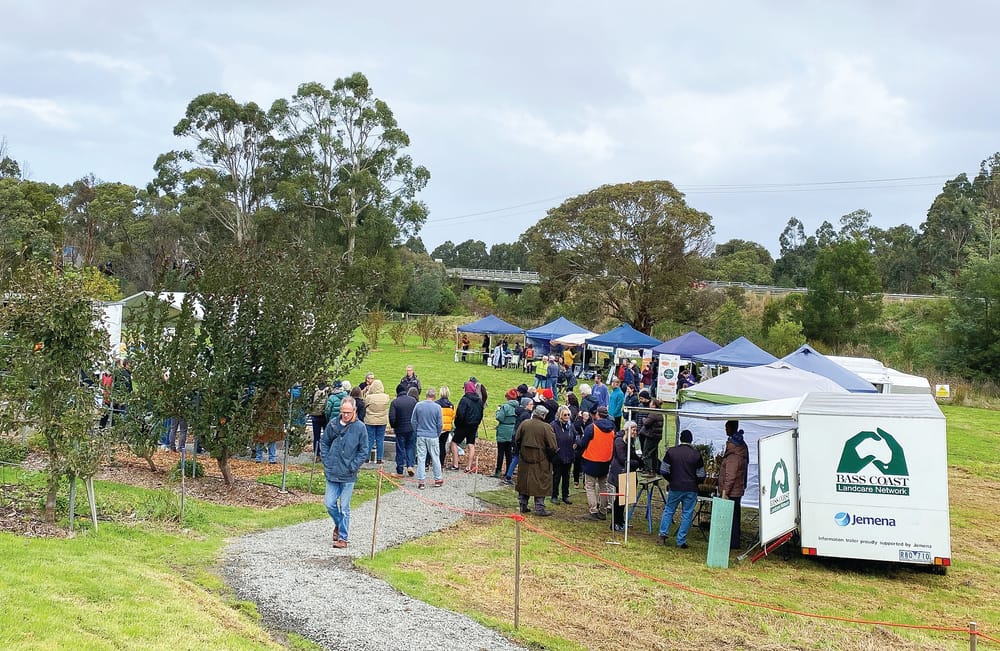 Damp but not down post image