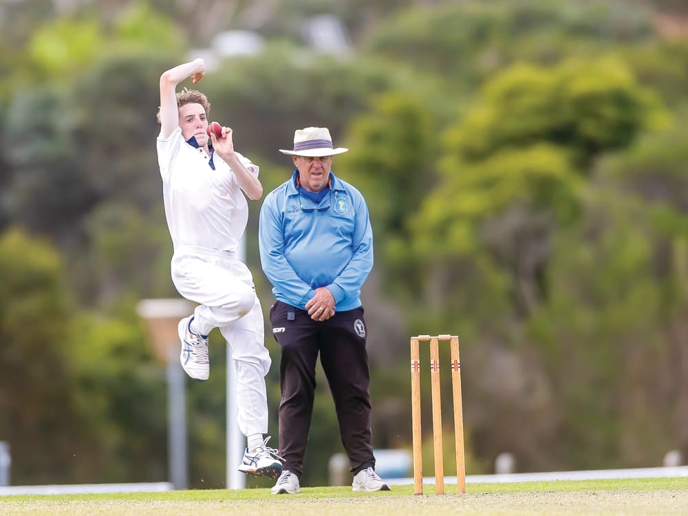 Sharks battle in hot conditions post image