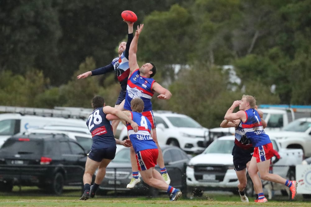 Bulldogs put on a show at Bass post image