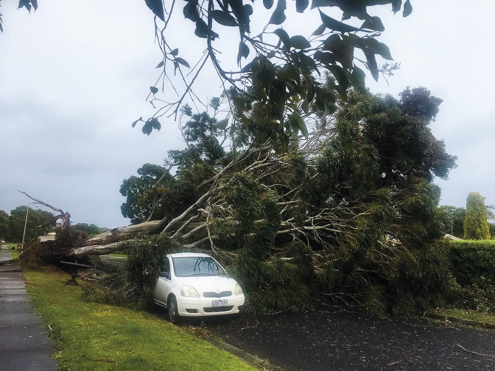 Cyclonic-force winds wreak havoc post image