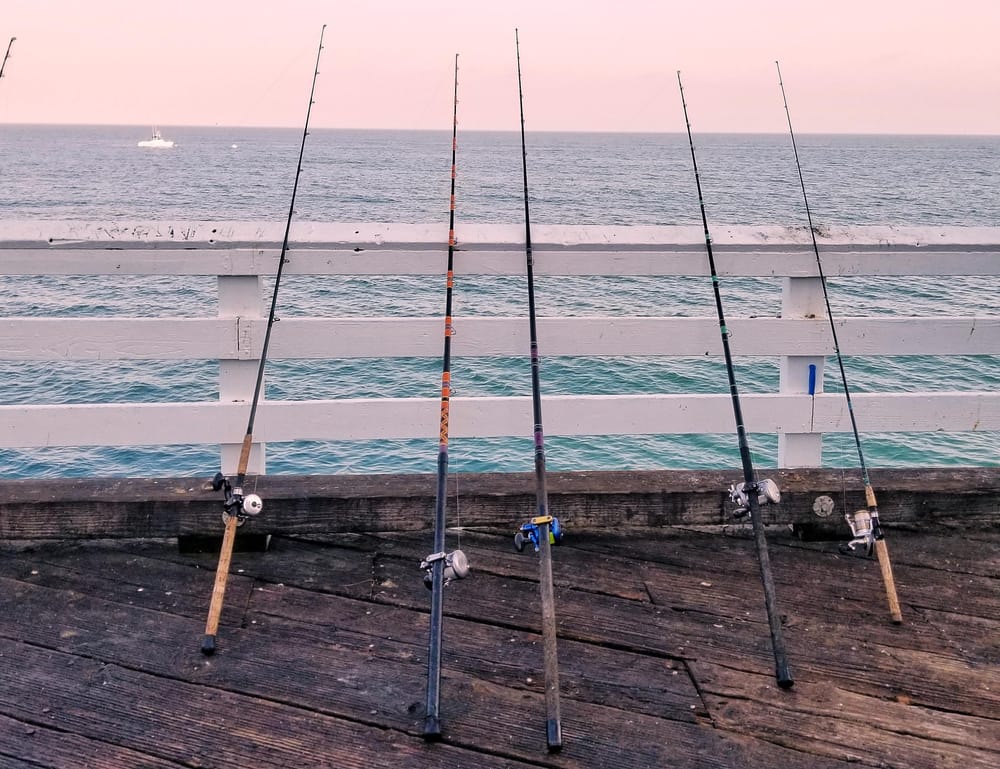 Around the bay with Jim’s Bait & Tackle post image