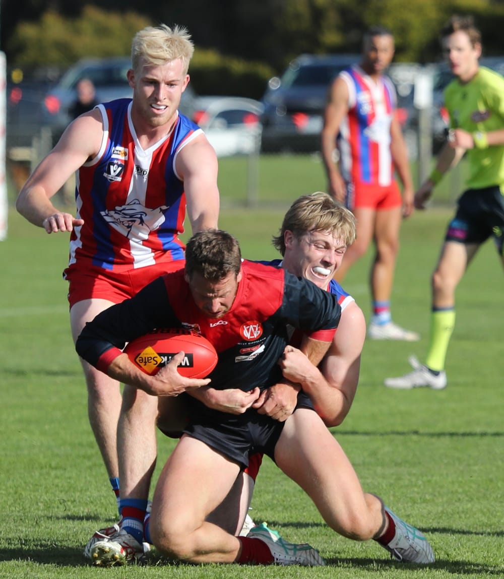 Bulldogs triumph in thrilling comeback post image