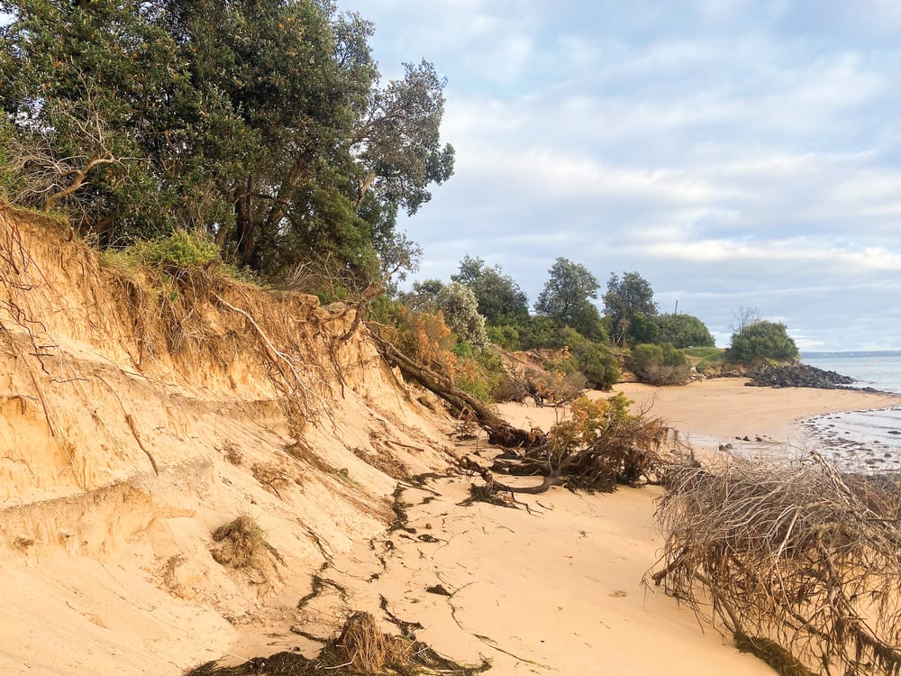 Budget submissions: Cape Woolamai residents pump up the volume post image