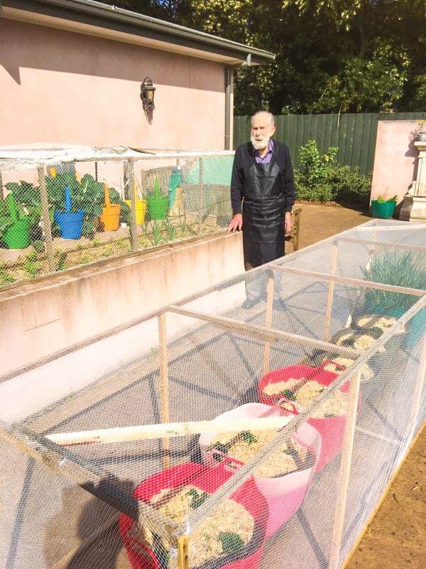 The fruit of Bill’s labour enjoyed at Banfields post image