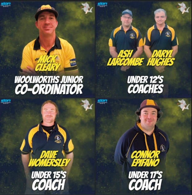 Island’s cricket coaching team revealed post image