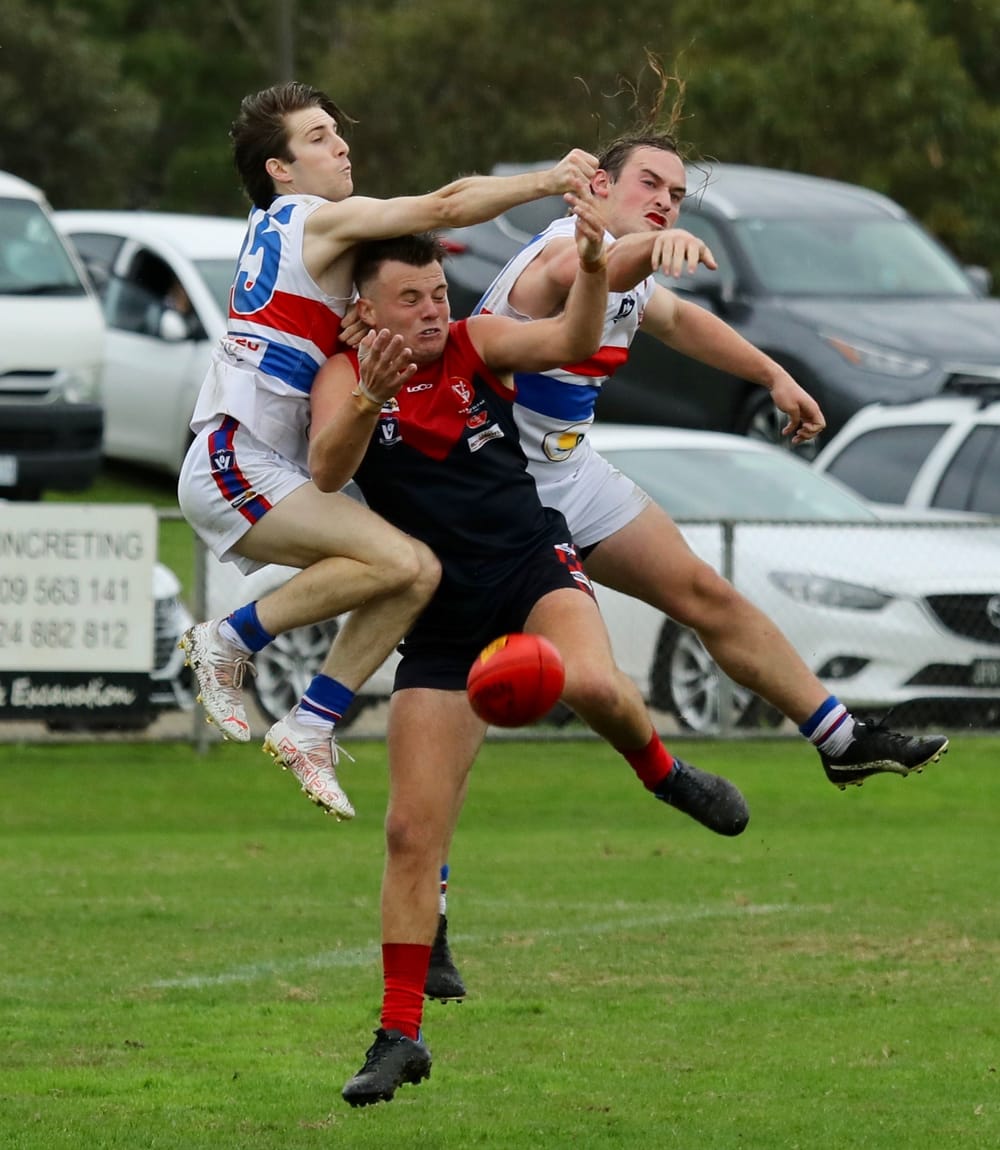 Young guns back in the Reserves post image