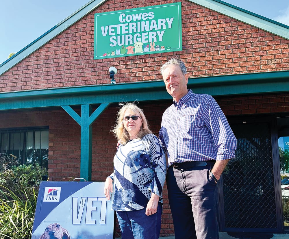 Snakes, camels and a whole lot of dogs post image