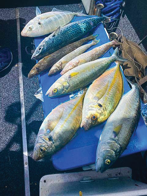 Around the Bay, with Jim’s Bait & Tackle post image