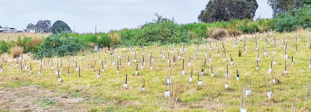 Applications now open for Rural Land Management Program post image