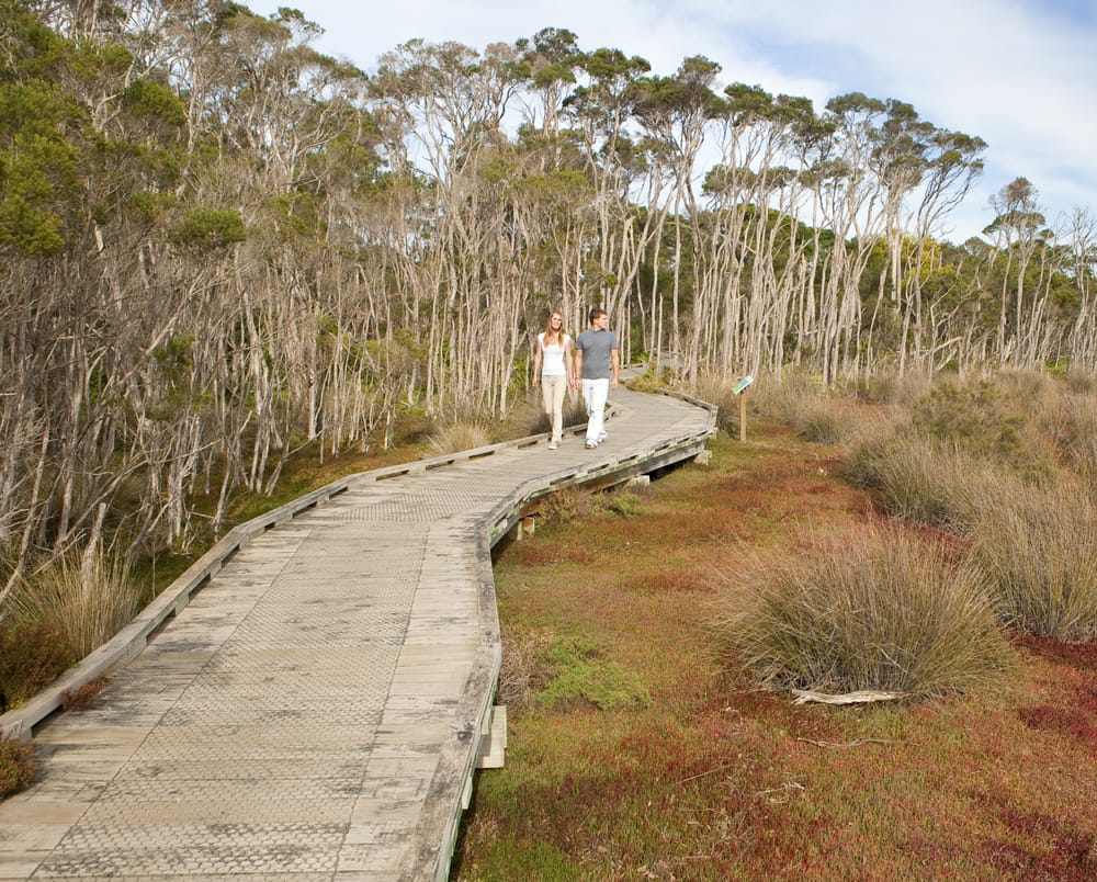 Rhyll Inlet boardwalk upgrade set to begin post image