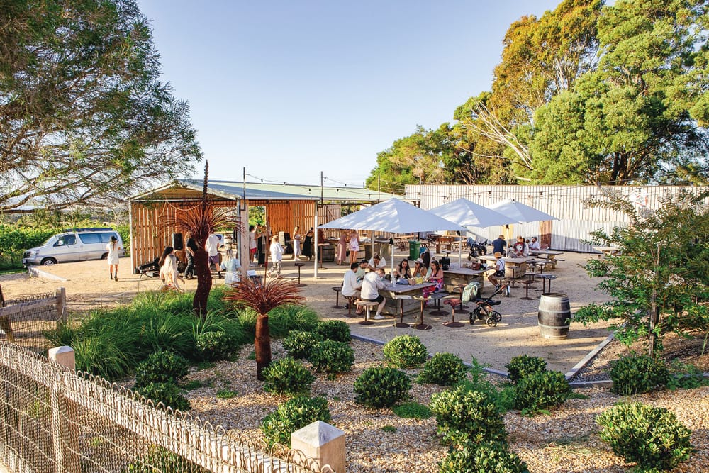 Stories branches out post image