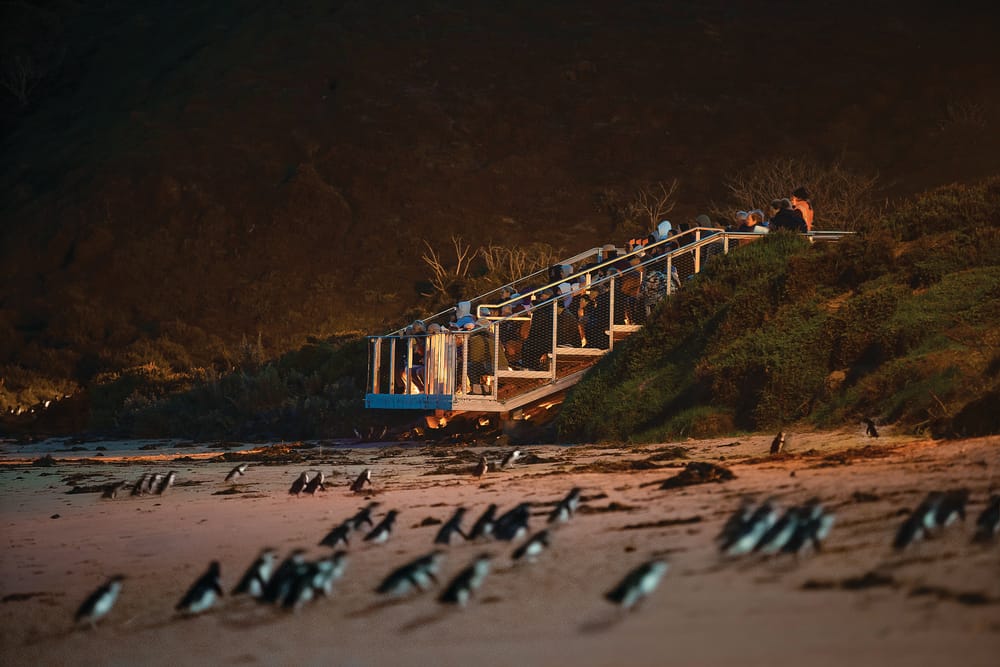 Summerland plan: community concerns post image