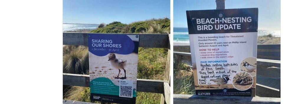 Praise for hoodies protection post image