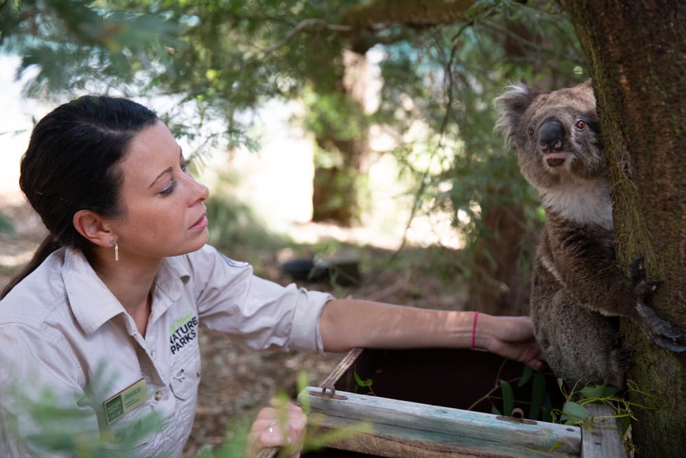 International Women's Day #Breakthebias - Jess McKelson post image