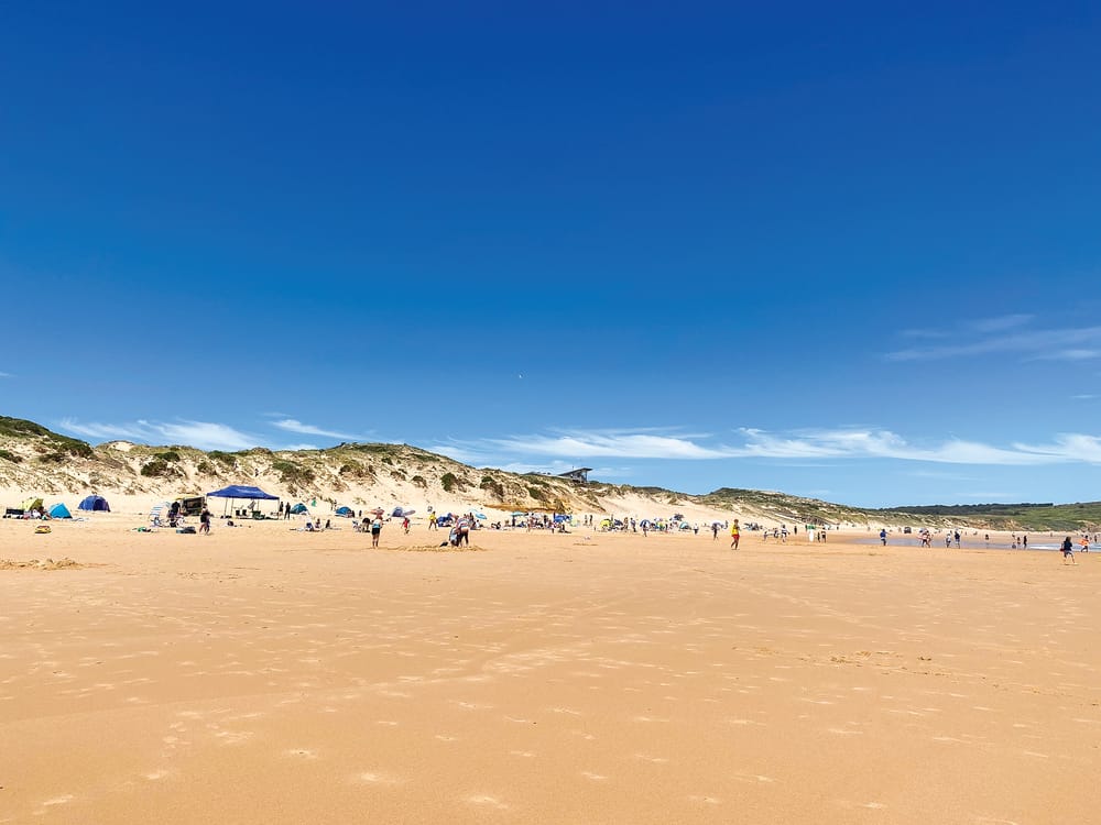 Your say on drowning prevention sign post image