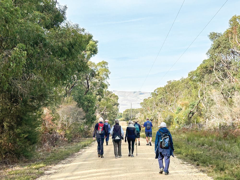 Give bushwalking a try post image