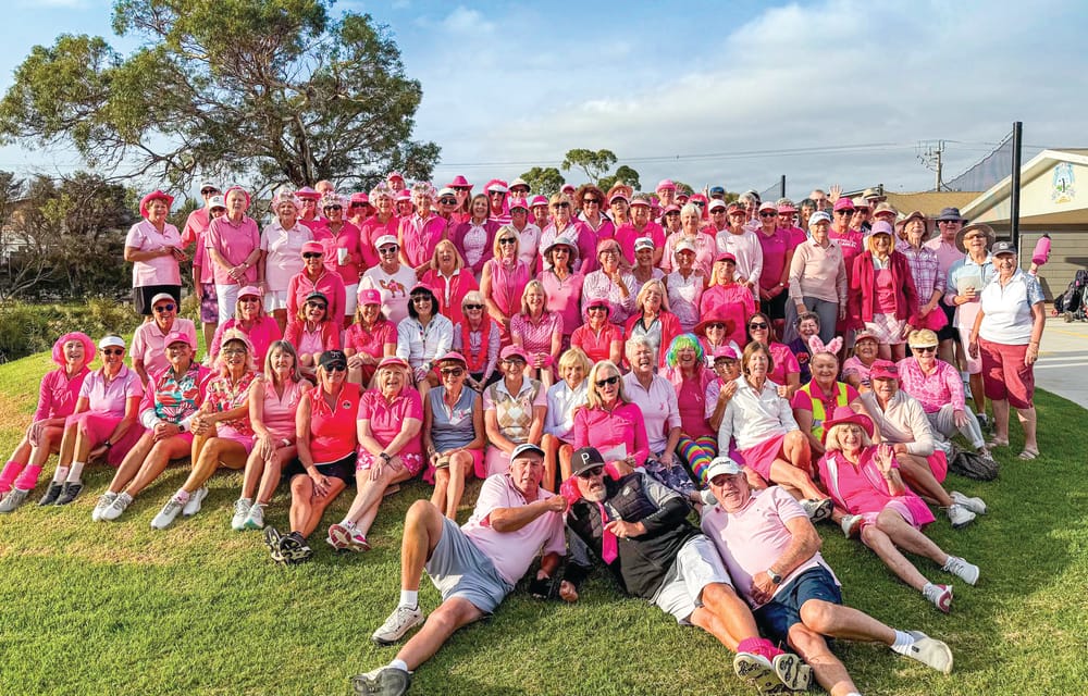 Pink Day fundraiser for a great cause post image