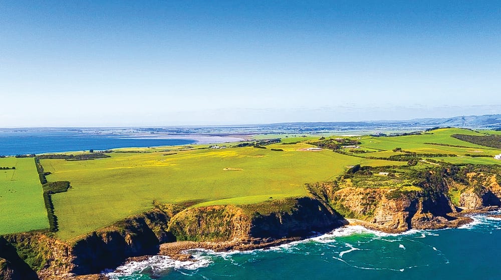 San Remo’s growth still uncertain post image